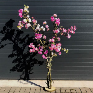 Verrassend Bloesemboom 3 kleuren roze 160cm | Kunst bloesembomen ZX-38
